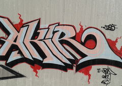 Photo #178277 by TagHagel