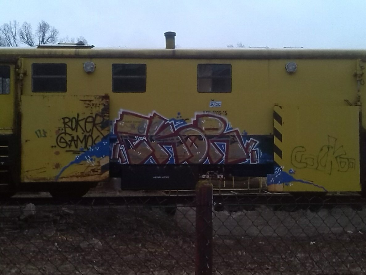 Graffiti Train - Photo by EastMonitor - Roke, panel