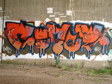 Graffiti Wall - Photo by Eckes - Comet, NCS, PDF