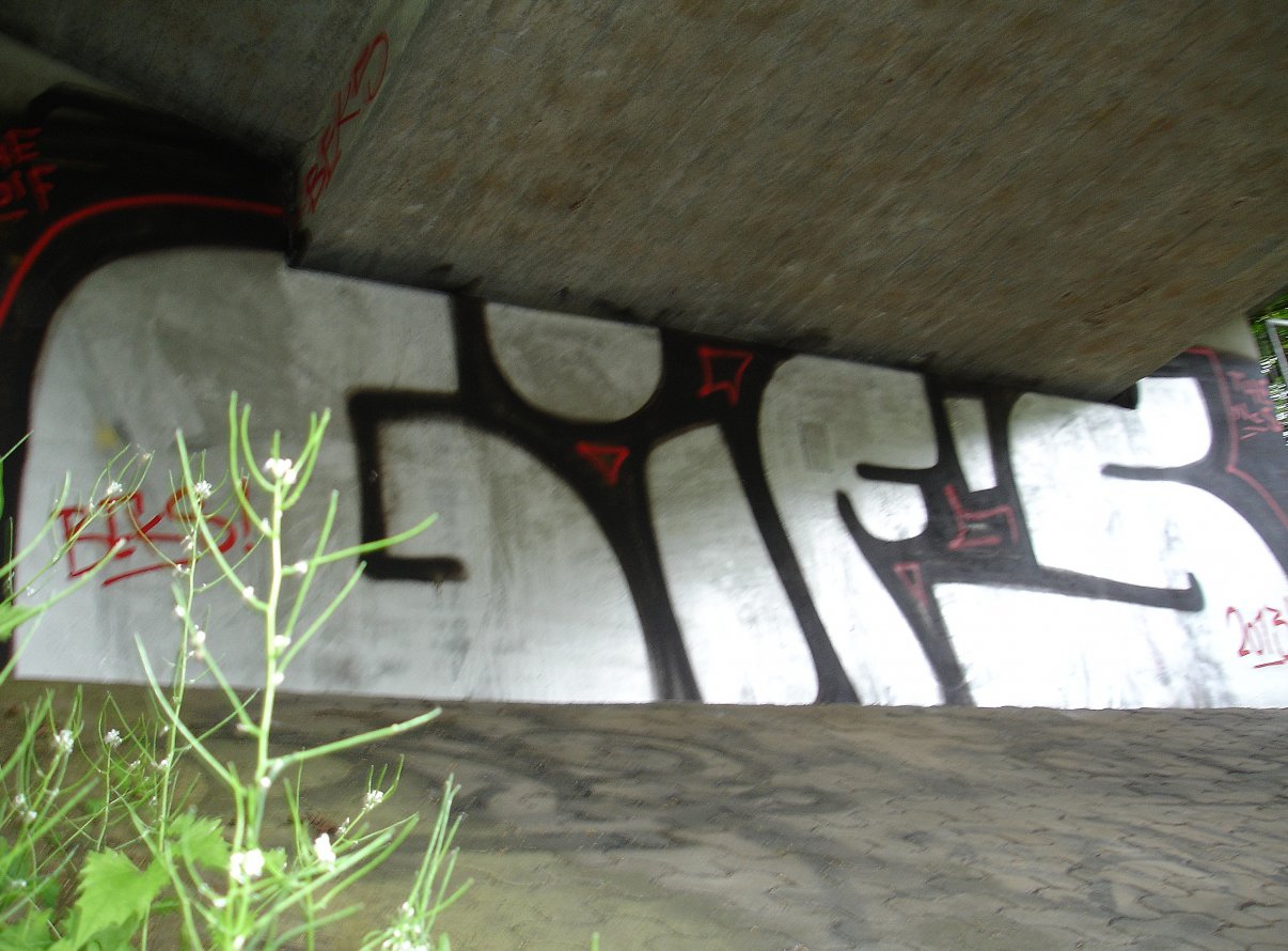 Graffiti Bombing - Photo by Eckes - GIF