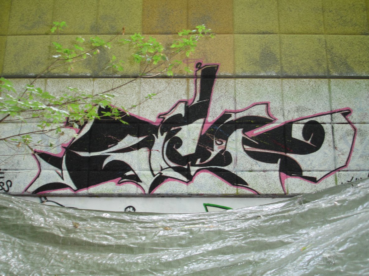 Graffiti Wall - Photo by Eckes - Kiwi, Ncs