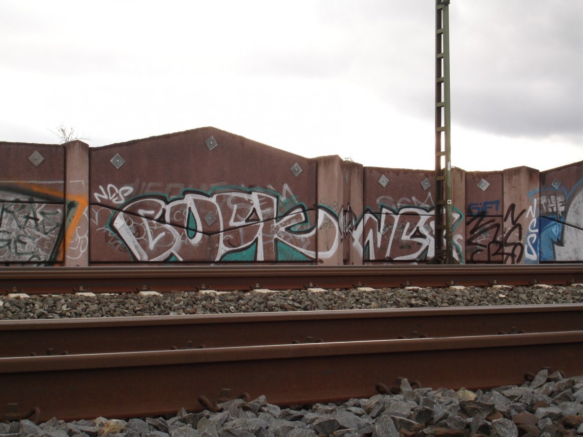 Graffiti Bombing - Photo by Eckes - Buck, NCS, PDF