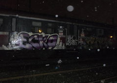 Photo #130593 by kwiatXwhoyou