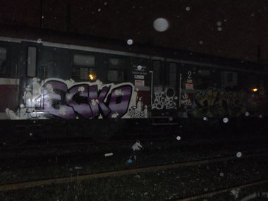 Graffiti Train in Stargard Szczeci?ski - Photo by Eckoo2 (2013)