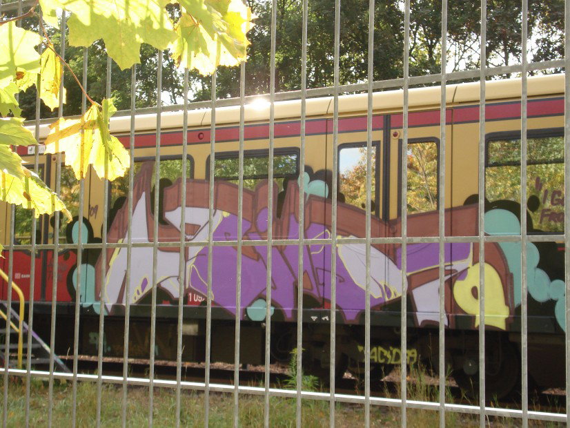 Graffiti Train - Photo by Edding - Acid (2009)