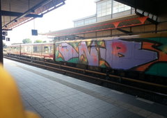 Photo #23264 by Torzstenstahl