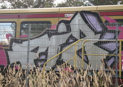 Photo #24731 by Torzstenstahl