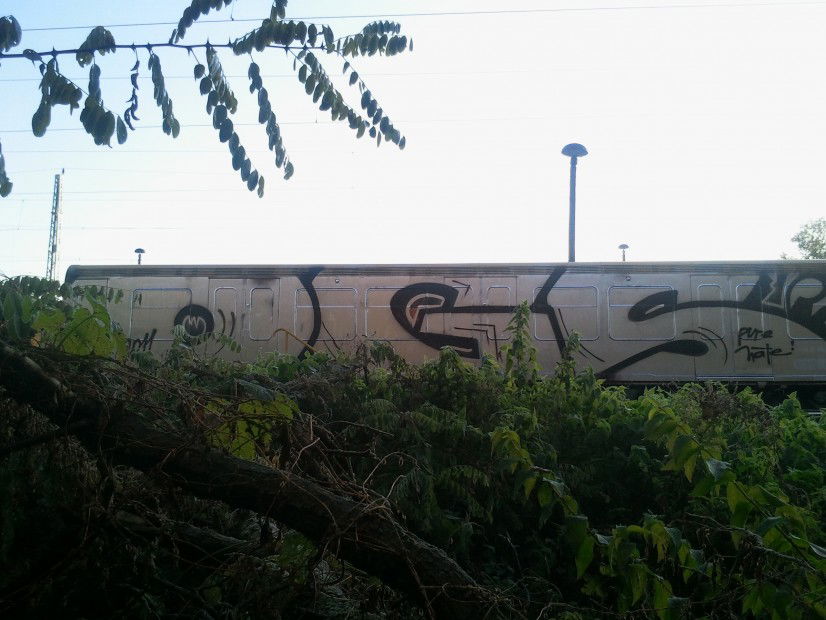 Graffiti Train in Berlin - Photo by Edding - OGS