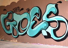 Photo #188988 by goes1