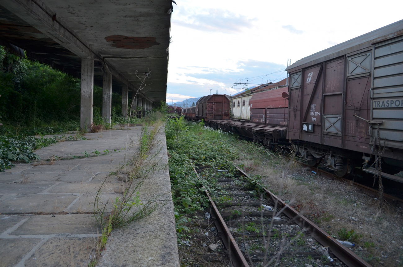 Graffiti Artwork - Photo by EddingPower - Overgrown (2014)