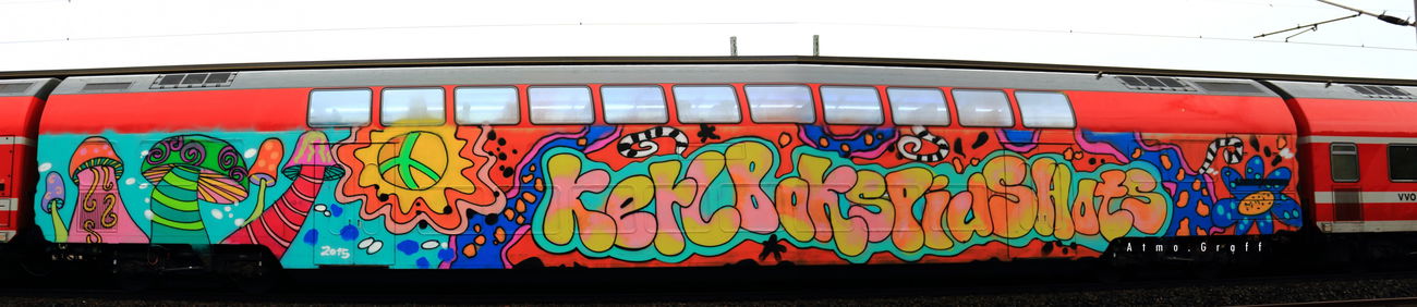 Graffiti Train in Dresden - Photo by Egalist - Dresden, WC, Wholecar (2015)