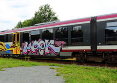 Graffiti Train in Dresden - Photo by Egalist - Graffiti, Dresden, SBS (2015)