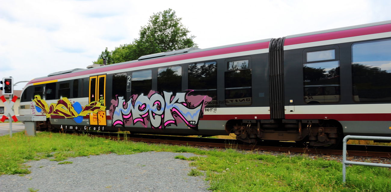 Graffiti Train in Dresden - Photo by Egalist - Graffiti, Dresden, SBS (2015)