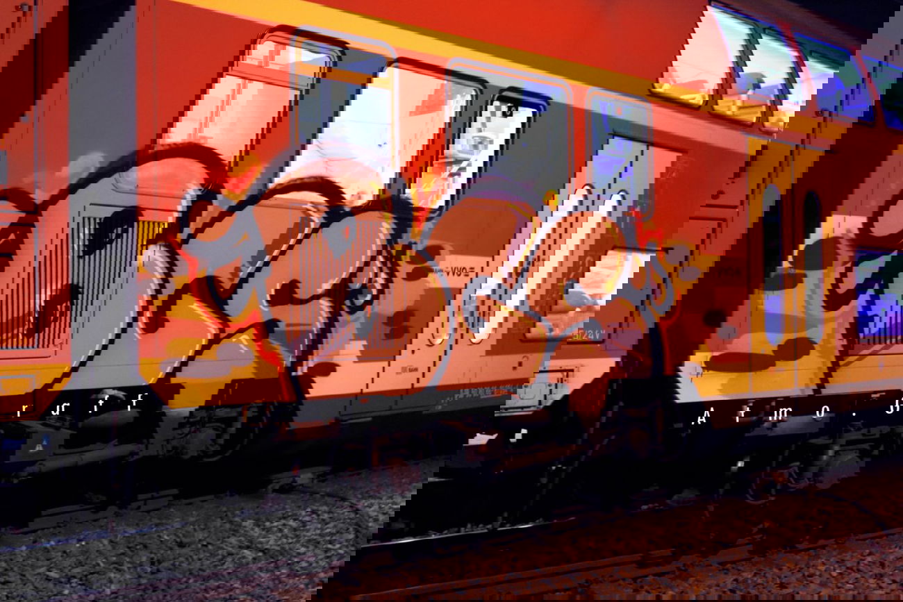 Graffiti Train in Dresden - Photo by Egalist - BGS, Sbahn, Dresden (2015)