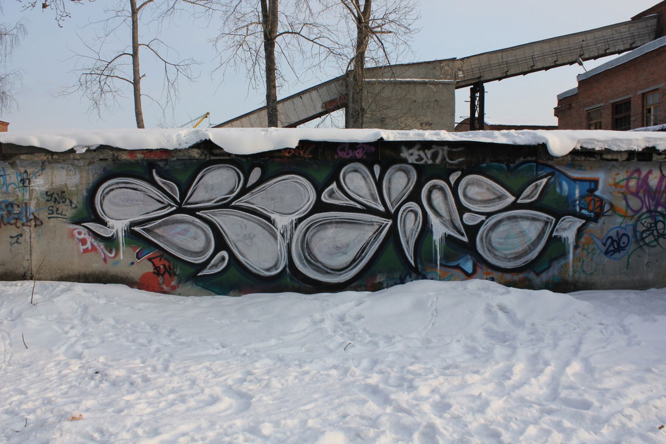 Graffiti Wall - Photo by EgorCrame (2012)