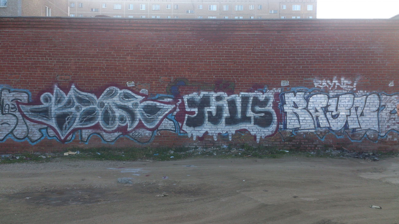 Graffiti Bombing - Photo by EgorCrame (2012)