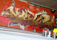 Photo #96161 by Anis