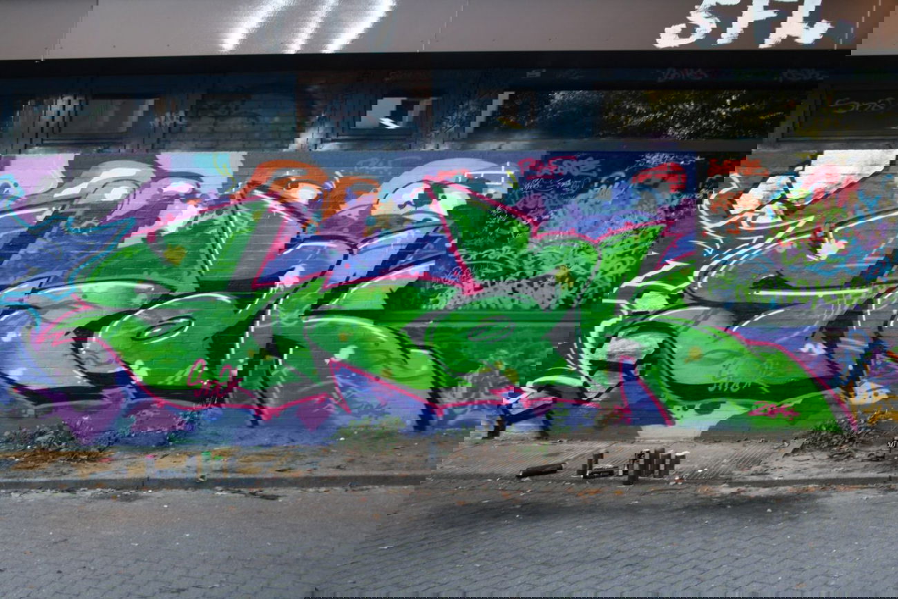 Graffiti Wall in Hamburg - Photo by EkanP4F - Snake (2014)