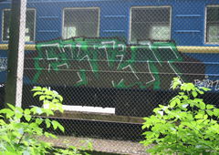 Photo #62216 by TagHagel