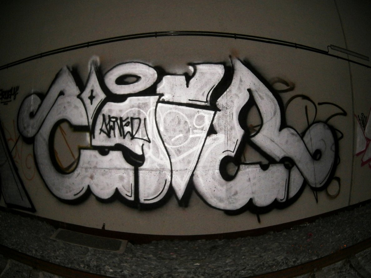 Graffiti Bombing - Photo by Elajf