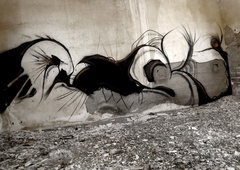 Photo #11196 by Belt