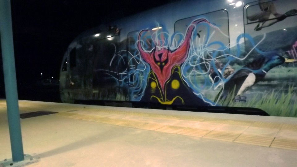 Graffiti Train - Photo by Eldmi - eldmi