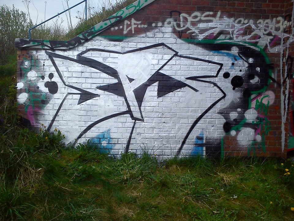 Graffiti Bombing - Photo by Elmoney - SpejsOne (2014)
