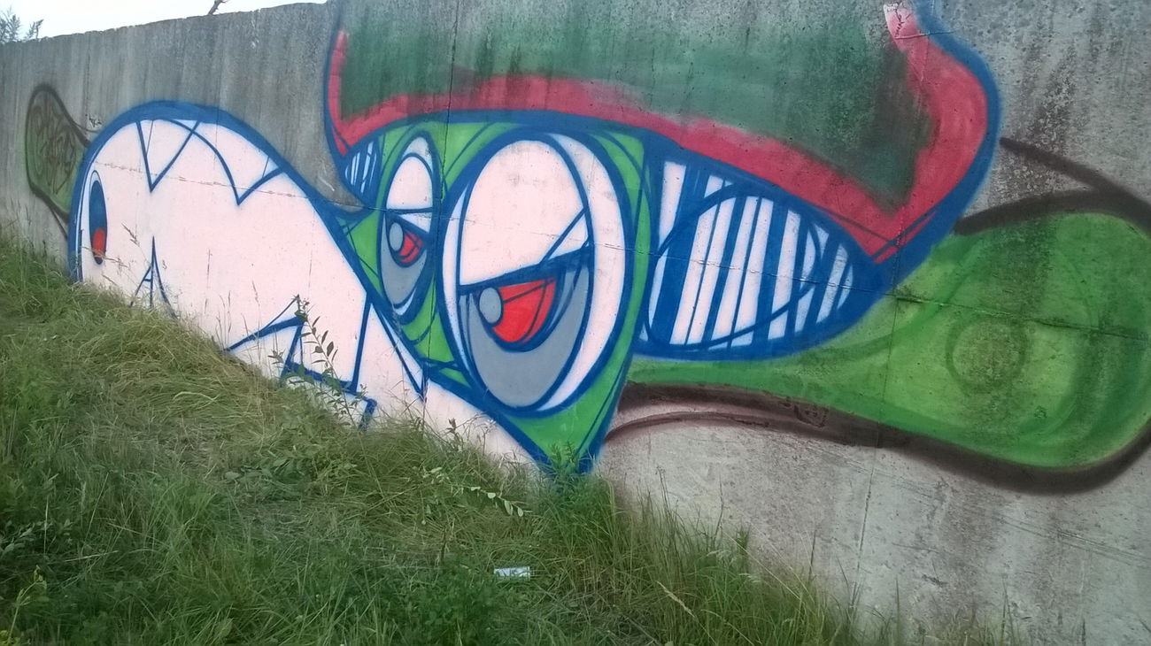 Graffiti Wall - Photo by Elmooner