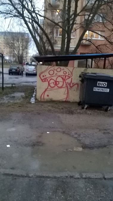 Graffiti Wall - Photo by Elmooner