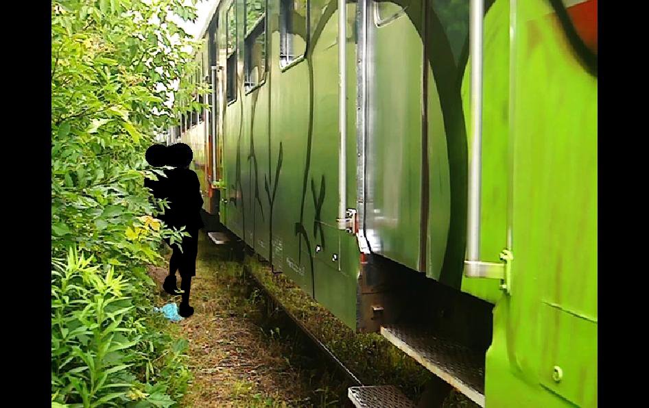 Graffiti Train - Photo by Elmooner - Elo, ELIA, PSK.