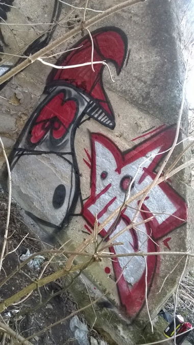 Graffiti Bombing - Photo by Elmooner