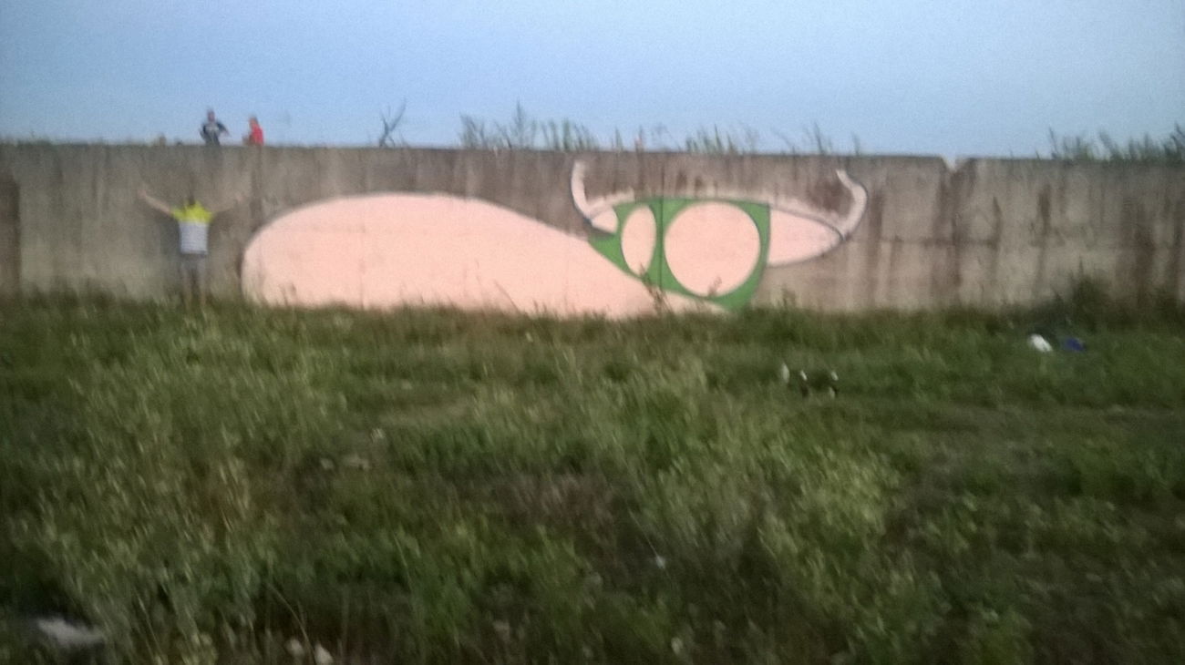 Graffiti Bombing - Photo by Elmooner