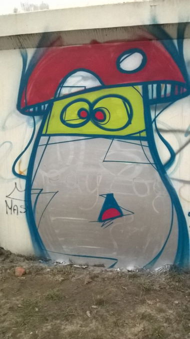 Graffiti Wall - Photo by Elmooner