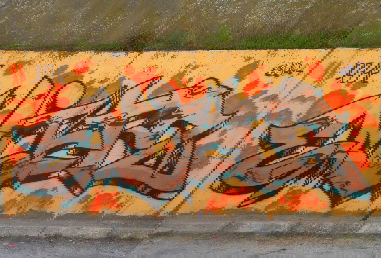 Graffiti Wall - Photo by EmiTwo (2014)