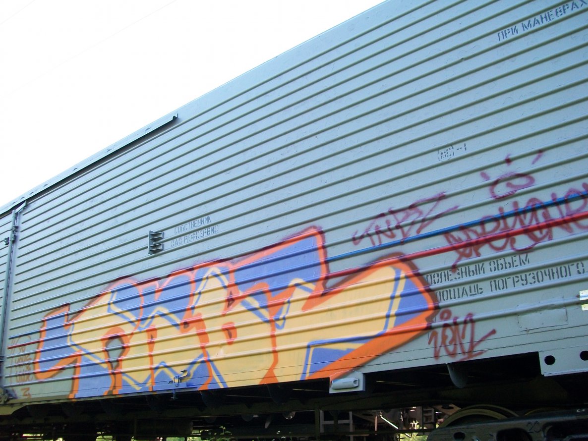 Graffiti Train - Photo by EnerGyo1 - tnbz (2012)