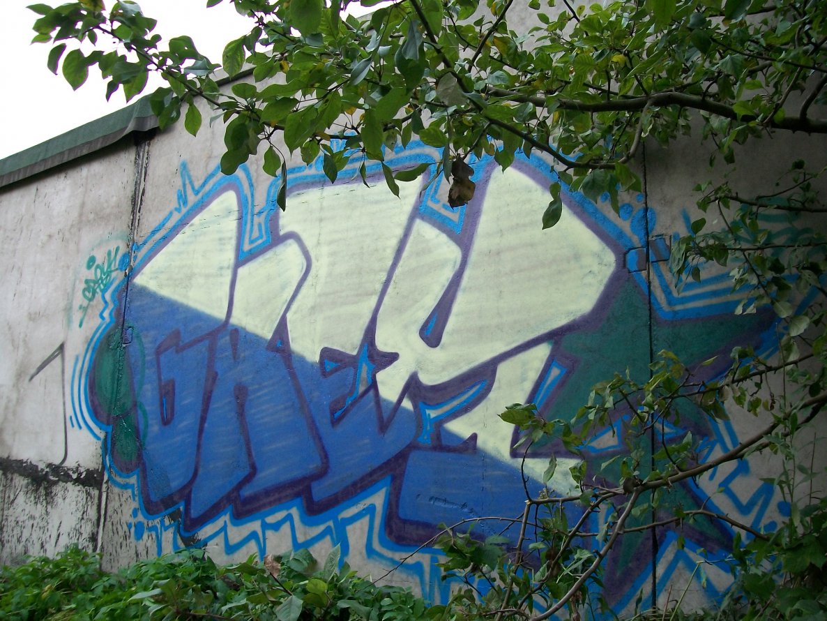 Graffiti Bombing - Photo by EnerGyo1 - grey1 (2012)