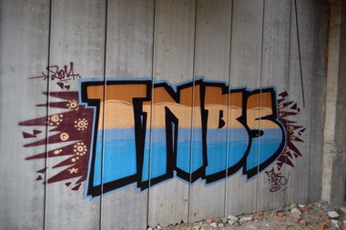 Graffiti Bombing - Photo by EnerGyo1 - tnb (2014)