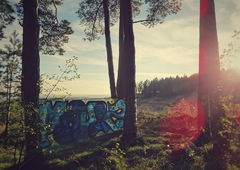 Photo #175905 by BiGoSsOoN