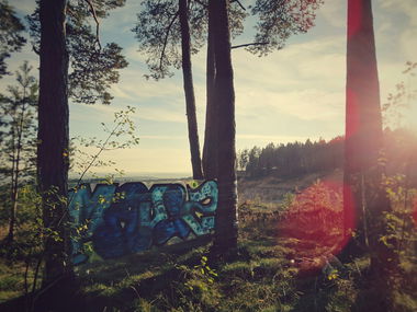 Graffiti Artwork - Photo by EnjoySlurm - Wald, Woods, Slurm (2013)