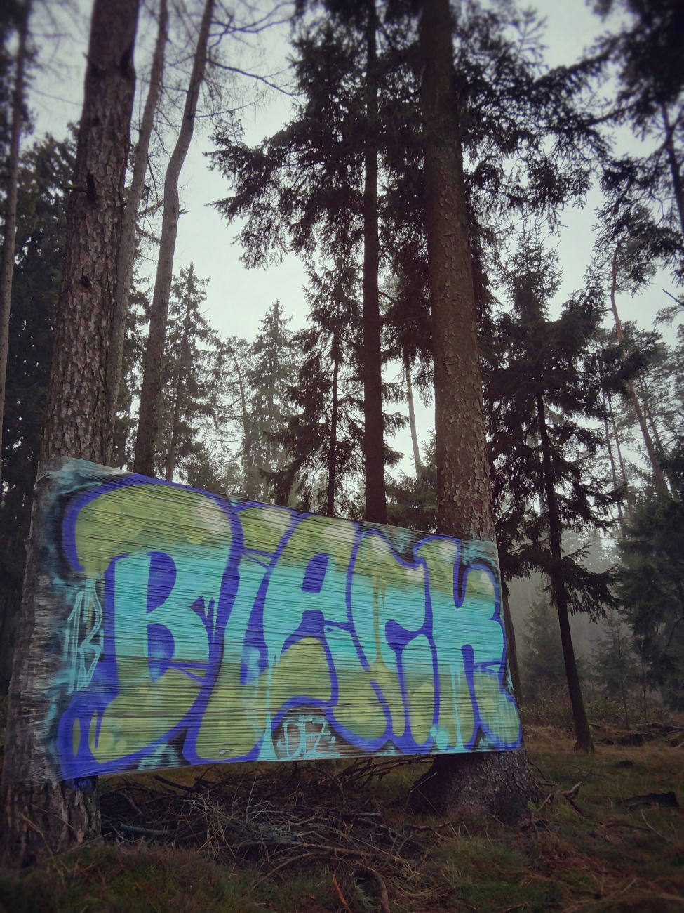 Graffiti Artwork - Photo by EnjoySlurm - Klarsichtfolie, Wrap, Wald