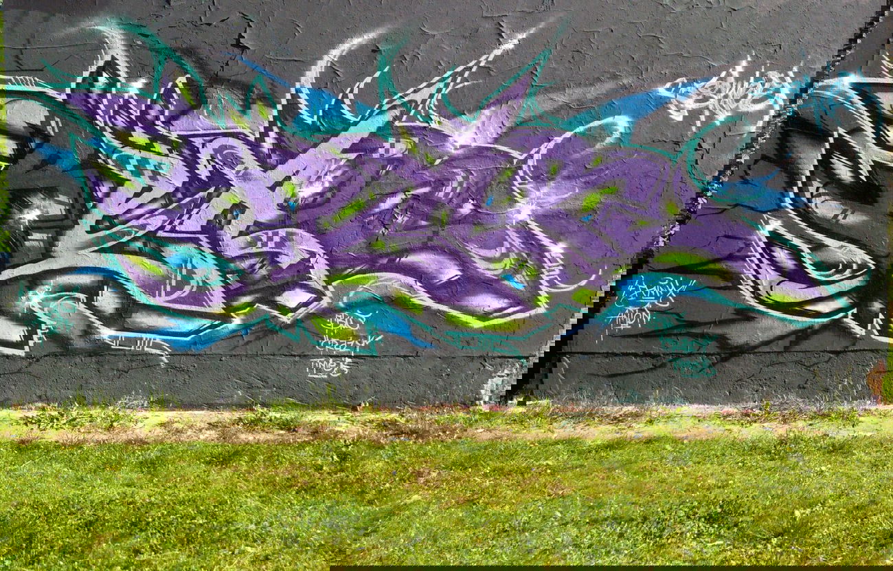 Graffiti Wall - Photo by Eskoe - Rear, esko (2014)