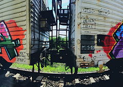 Photo #190885 by TagHagel