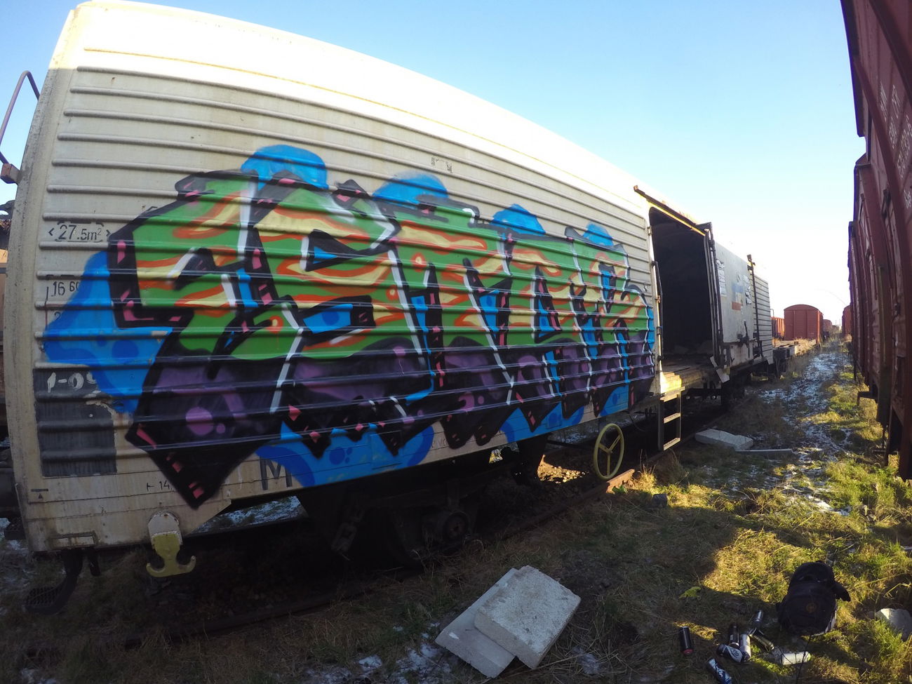 Graffiti Train in România - Photo by Estar737 - bucharest, romania, freight (2016)