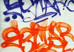 Photo #181089 by MENO