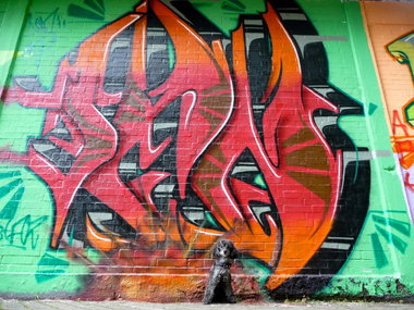 Graffiti Wall - Photo by Evian - Sammy, my, dog (2011)