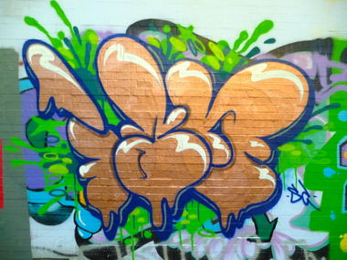 Graffiti Bombing - Photo by Evian