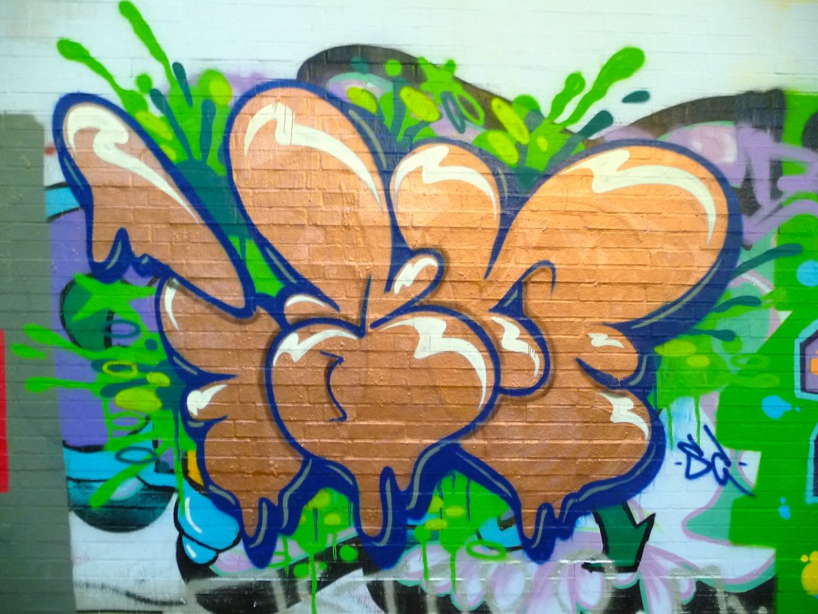 Graffiti Bombing - Photo by Evian