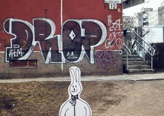 Photo #209018 by 19xllls