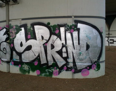 Graffiti Bombing in Prague - Photo by Exist333 - Sprind, RDS