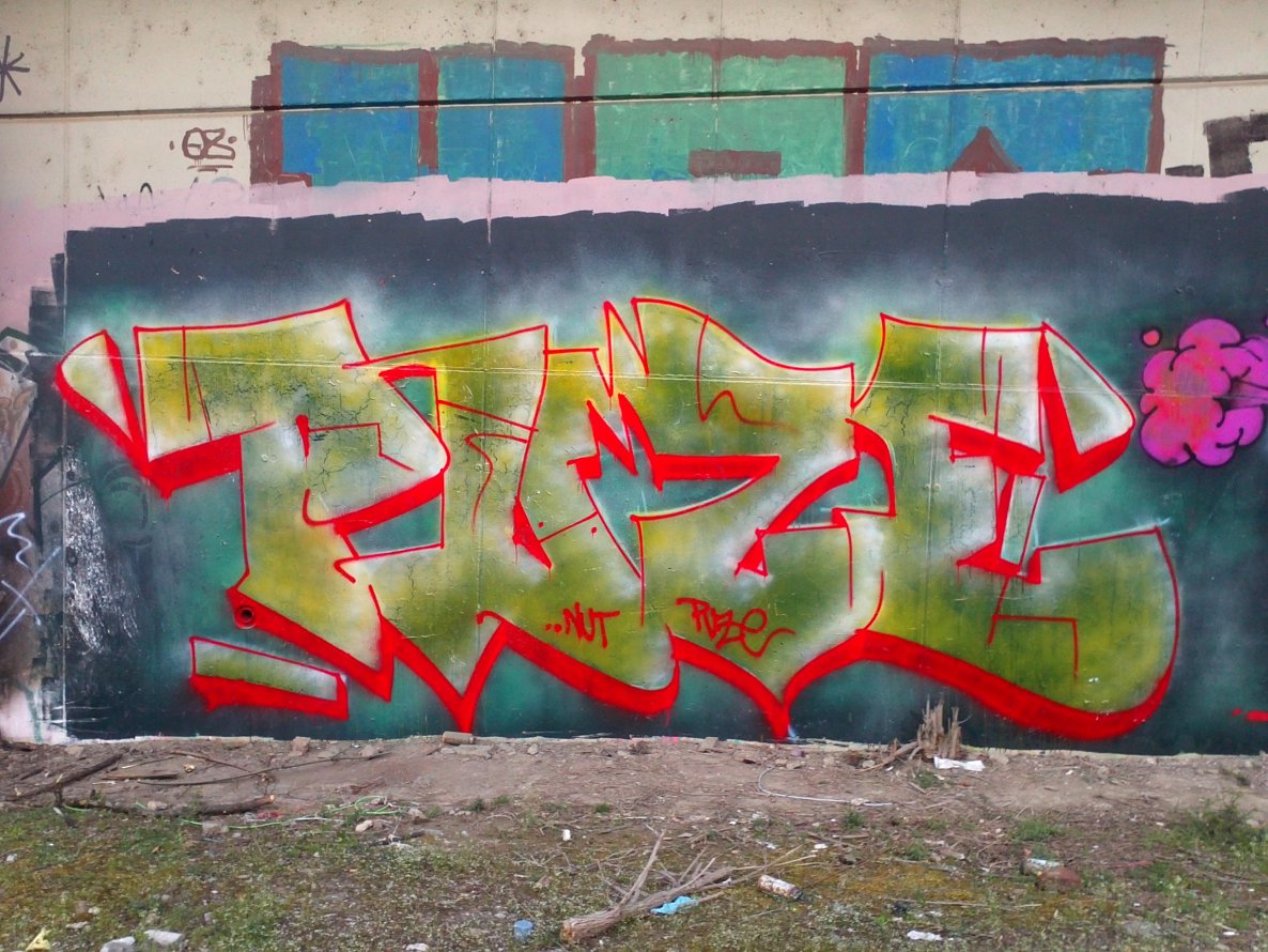 Graffiti Bombing in Prague - Photo by Exist333 - Train, line